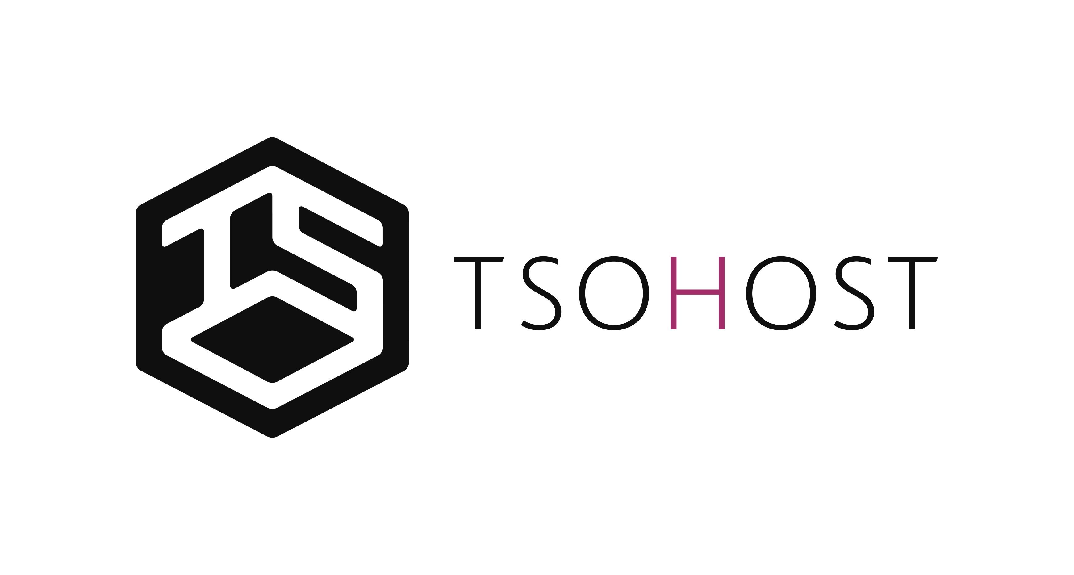 tsohost logo